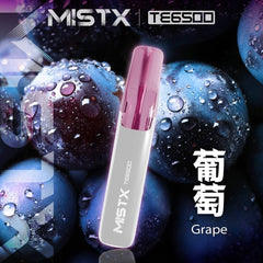 MIST X 鴨嘴獸 6500口 拋棄式 買十送一